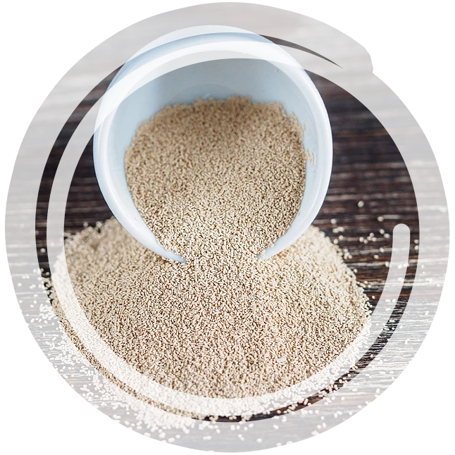 Yeast