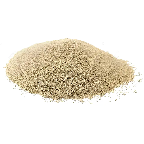 Yeast